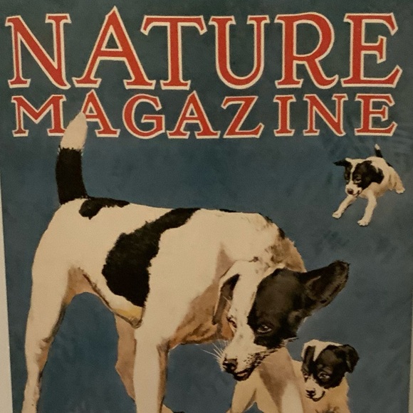 Vintage Nature Magazine Reproduction print - Picture 9 of 10